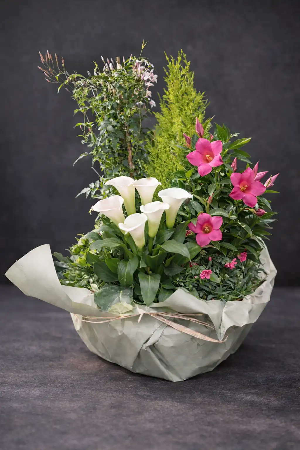 Hommage et recueillement